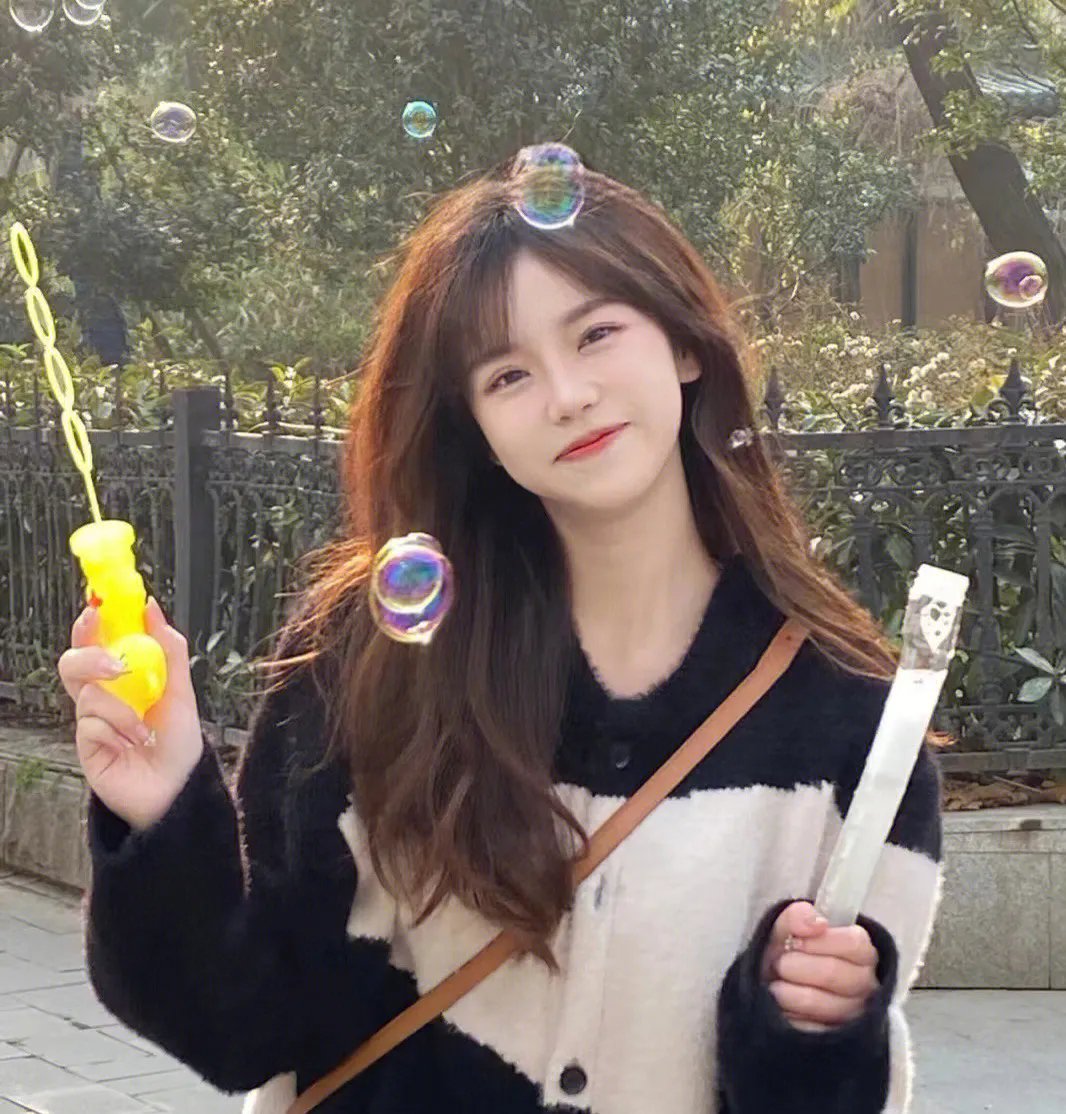 间谍的灵魂国语